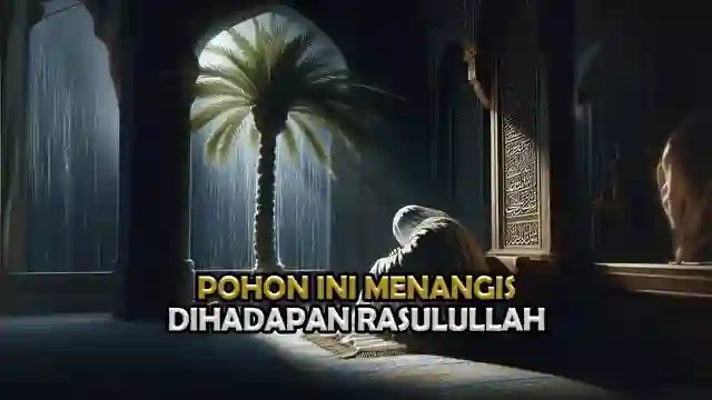 santri posjos - Sejarah Islam Kisah Pohon Kurma Menangis di Hadapan Rasulullah SAW. Kisah Pohon Kurma Yang Menangis di Hadapan Rasulullah SAW