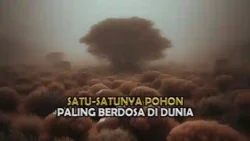 Pohon Paling Berdosa Di Dunia, Pelindung Kaum Israel